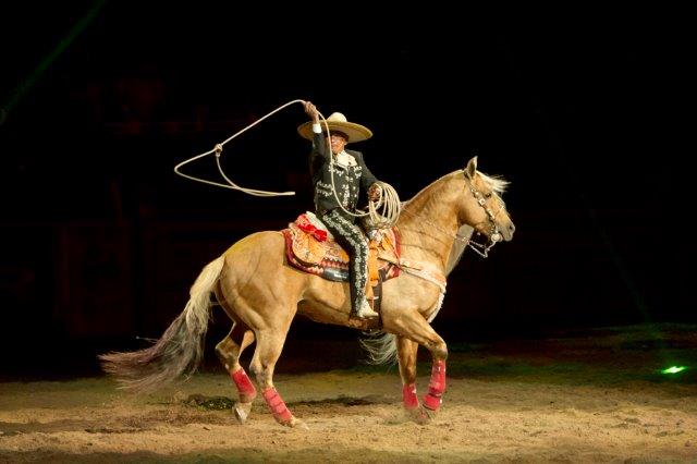 Tomás Garcilazo performing at the 2012 Wrangler National Finals Rodeo - photo courtesy of and used with permission - Mike Copeman PRCA ProRodeo