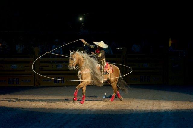 Tomás Garcilazo - 2012 PRCA Specialty Act of the Year - Photo courtesy of and used with permission - Mike Copeman, PRCA ProRodeo 2012 Tomás Garcilazo - 2012 PRCA Specialty Act of the Year - Photo courtesy of and used with permission - Mike Copeman, PRCA ProRodeo 2012