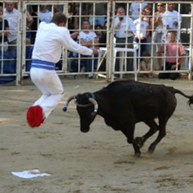 Manu Lataste "Frenchy the Flying Bull Jumper"